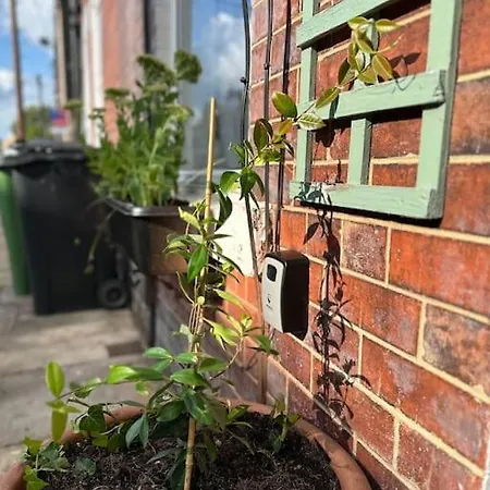 بيت للعطل Cosy House *